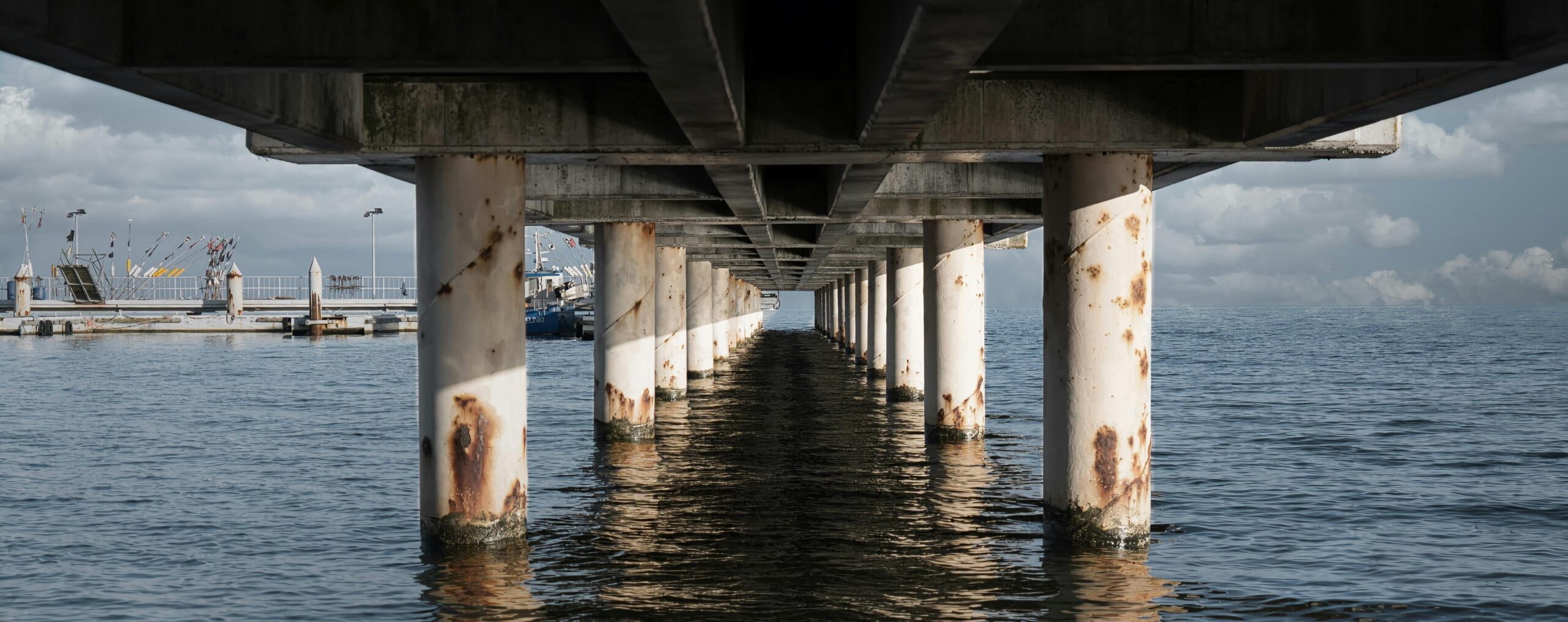 Piles Inspection