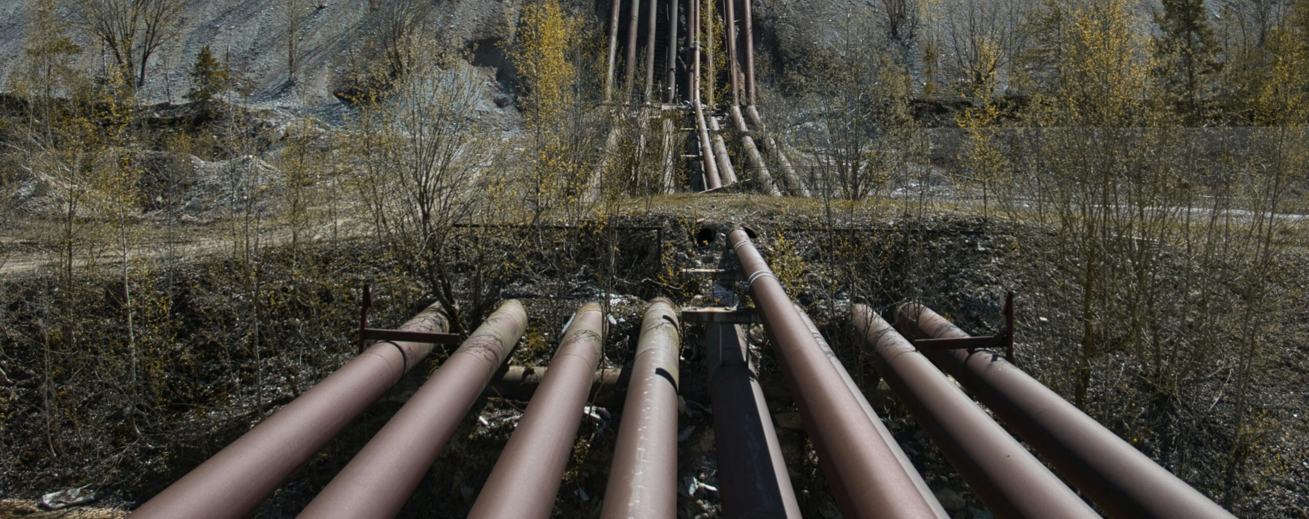 Pipeline inspection Guyana